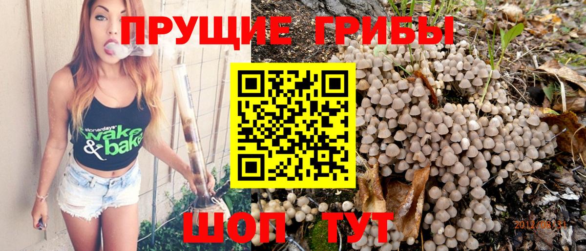купить закладку  Вход с VPN  Ноябрьск  Псилоцибиновые грибы Magic Shrooms 