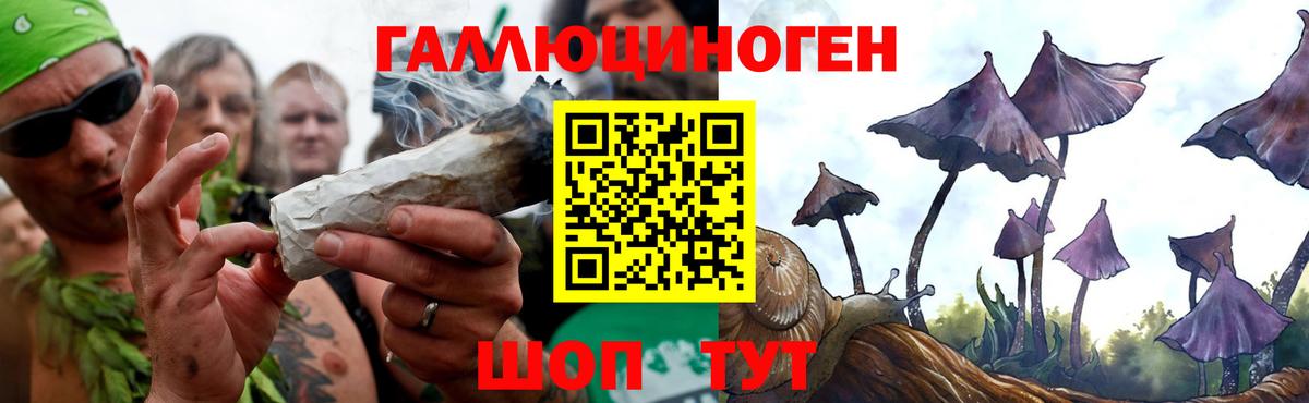 Галлюциногенные грибы Psilocybine cubensis Ноябрьск