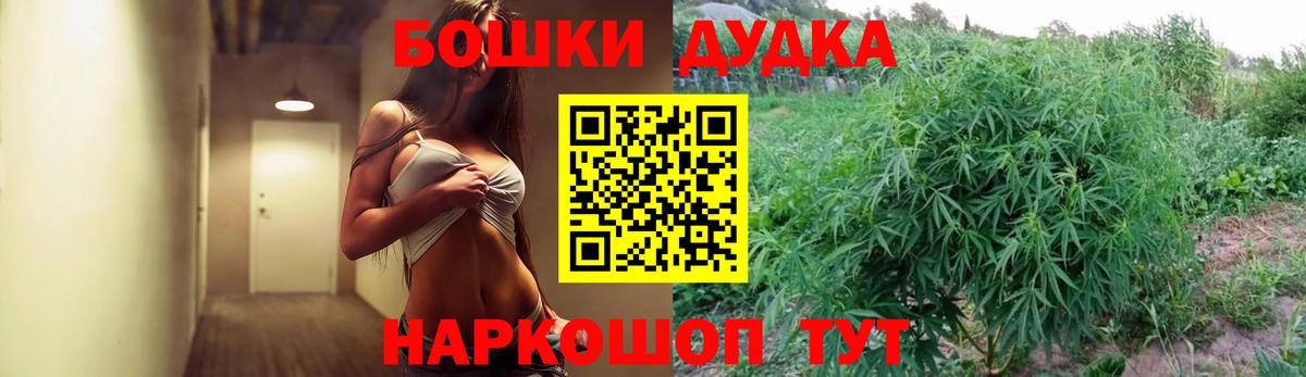 Марихуана планчик  Конопля индика  Ноябрьск  Марихуана White Widow  Марихуана SATIVA & INDICA  Вход с VPN 